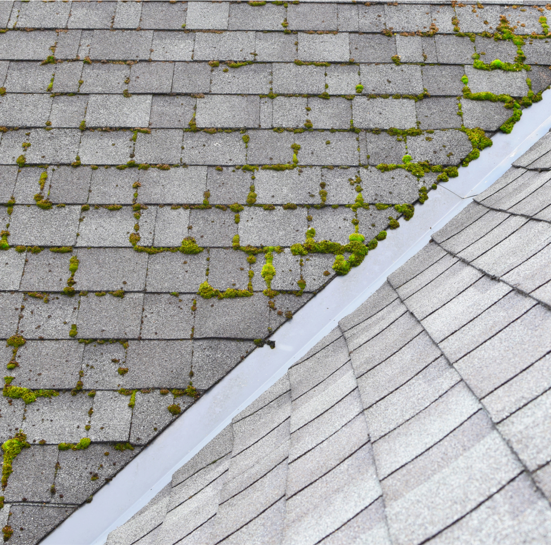 Home Improvement Brookhaven, NY Home Improvement Brookhaven, NY